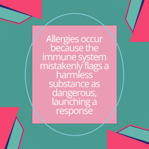 Allergies occur because the immune system mistakenly flags a harmless substance as dangerous, launching a response